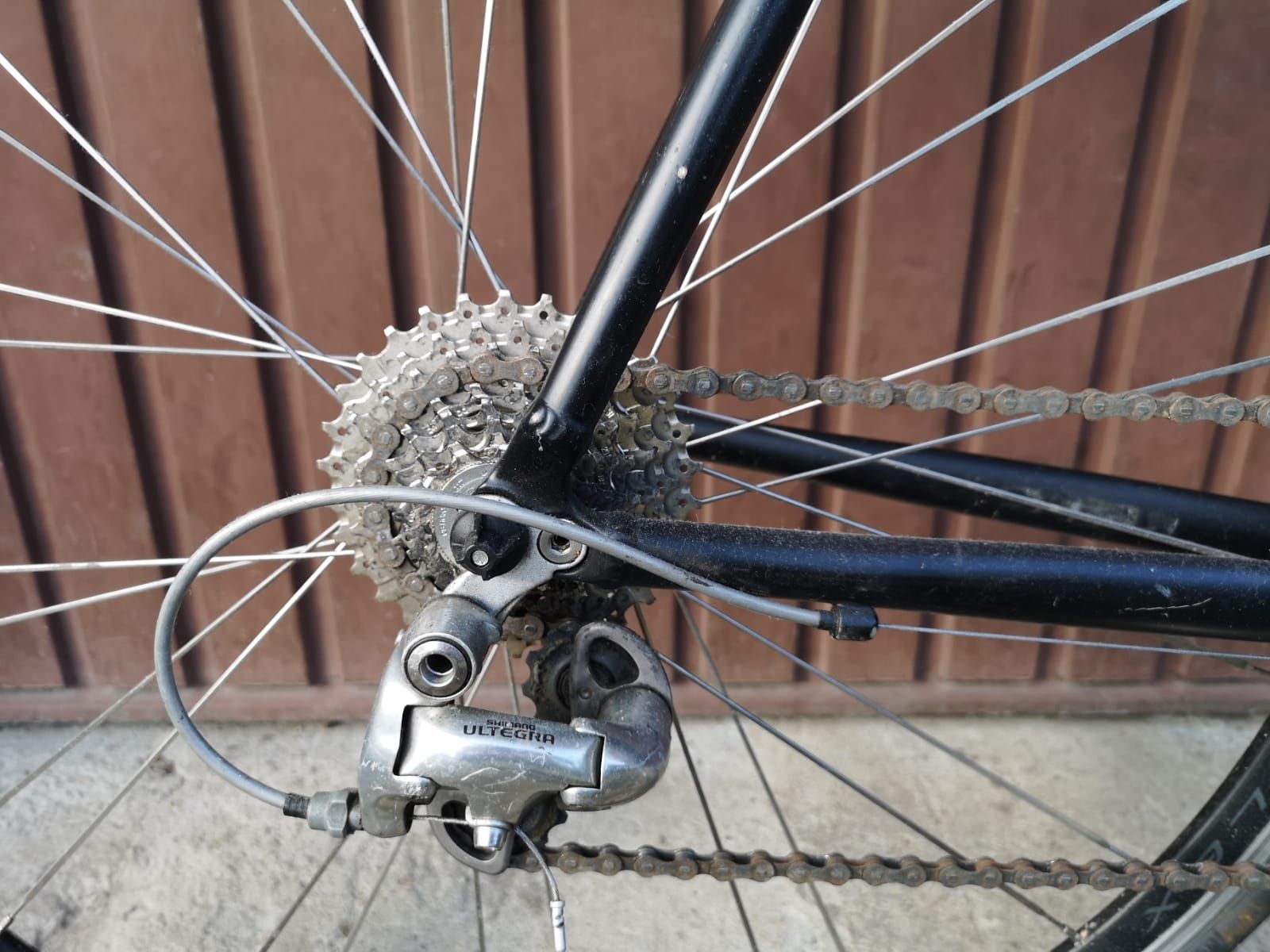 Kolarka Bulls Ultegra