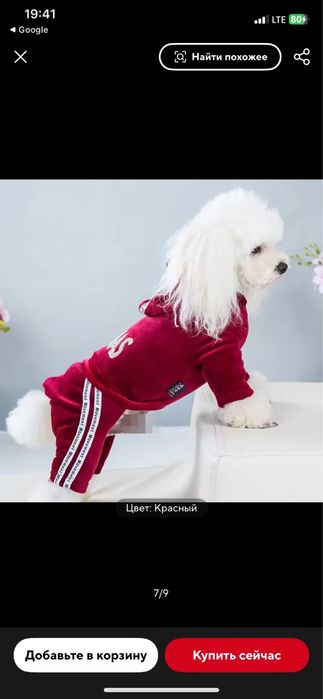 Одяг для собак , комбінезон, костюм