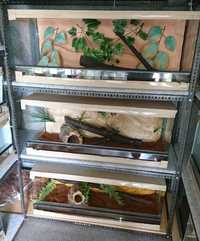 Terrarium szklane 100/40/40, wąż,agama,żółw,gekon itp