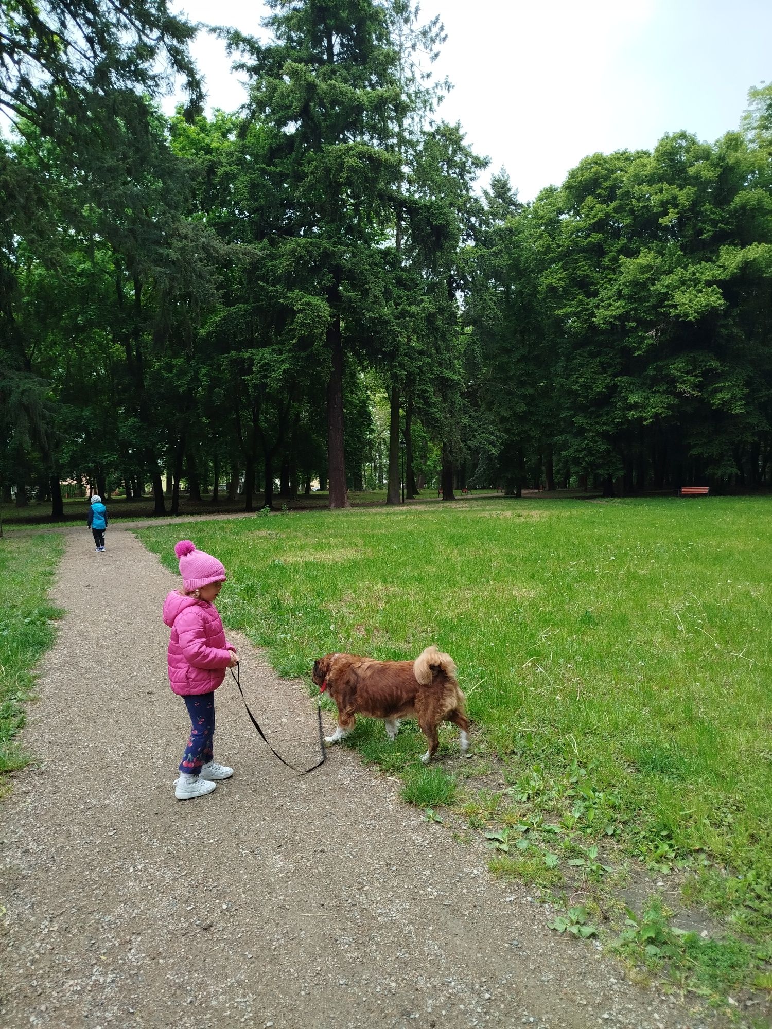 Puchata Sunia Łatka