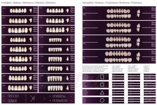 Kit dentes da Heraeus Kulzer para protese dentaria