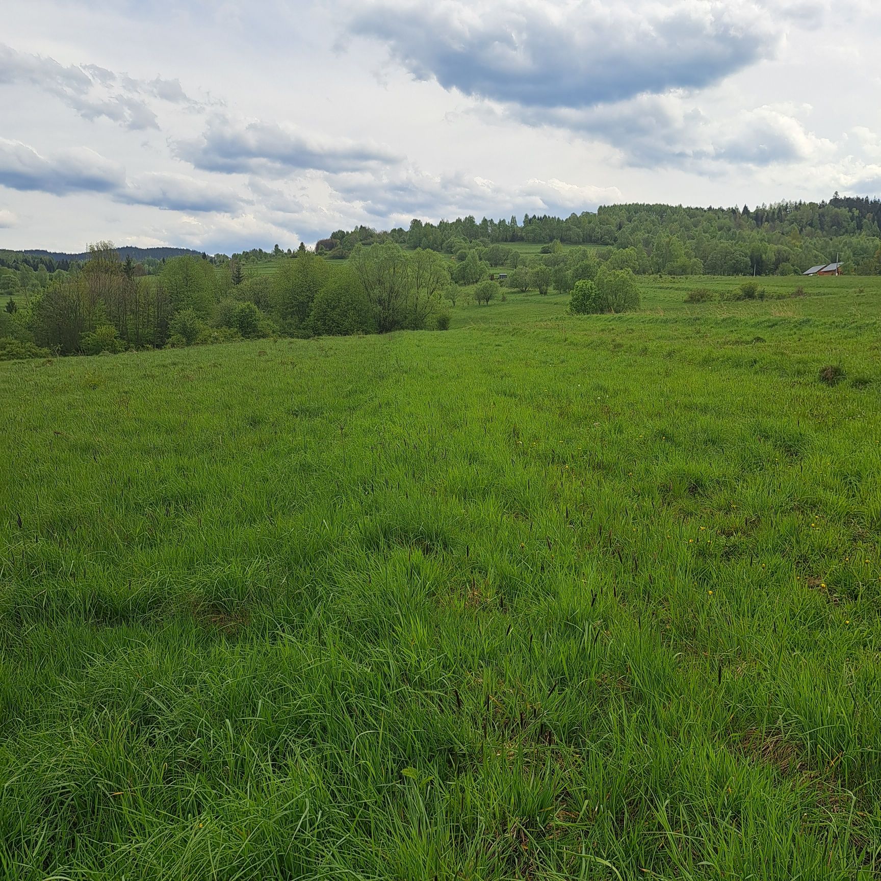 Działka rolna,widokowa                     Beskid  Żywiecki- Gilowice