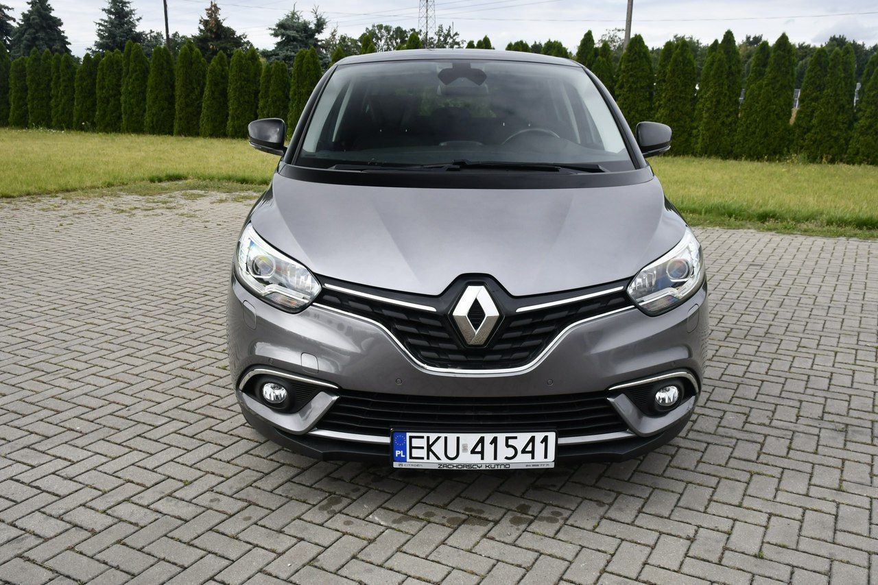 Renault Scenic 1,2Turbo Ledy.Navi.Hak.Kam.Cof.Tempomat.BOSE>Serwis.OKAZJA