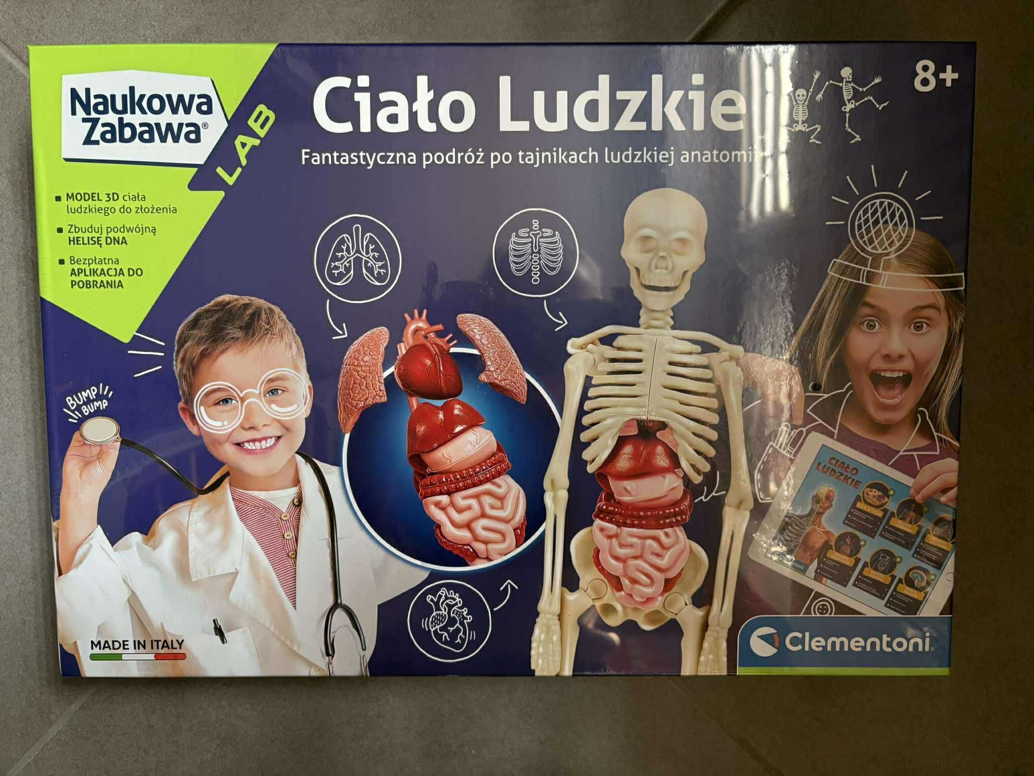 Ciało Ludzkie Człowieka ZESTAW SZKIELET Clementoni