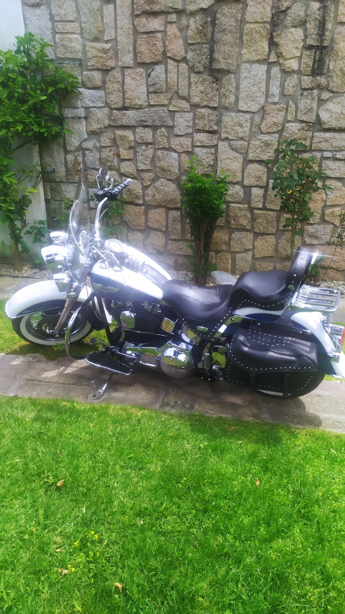 Harley Davidson softail delux