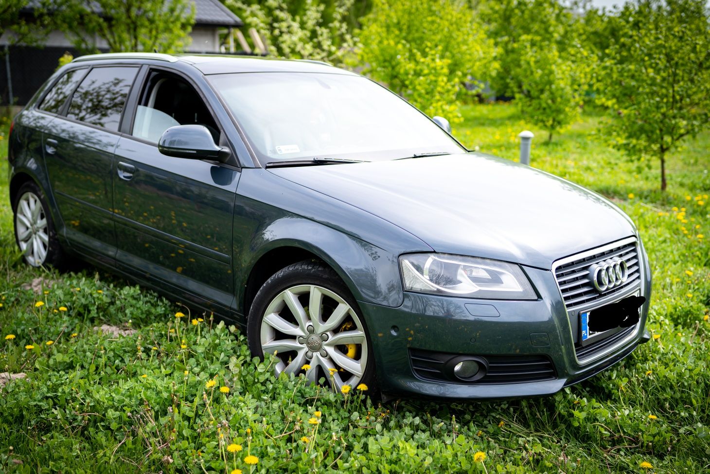 Ładne Audi A3 8P, 2.0 TDI 170KM, 2008 lift, nie S-Line, bogata wersja