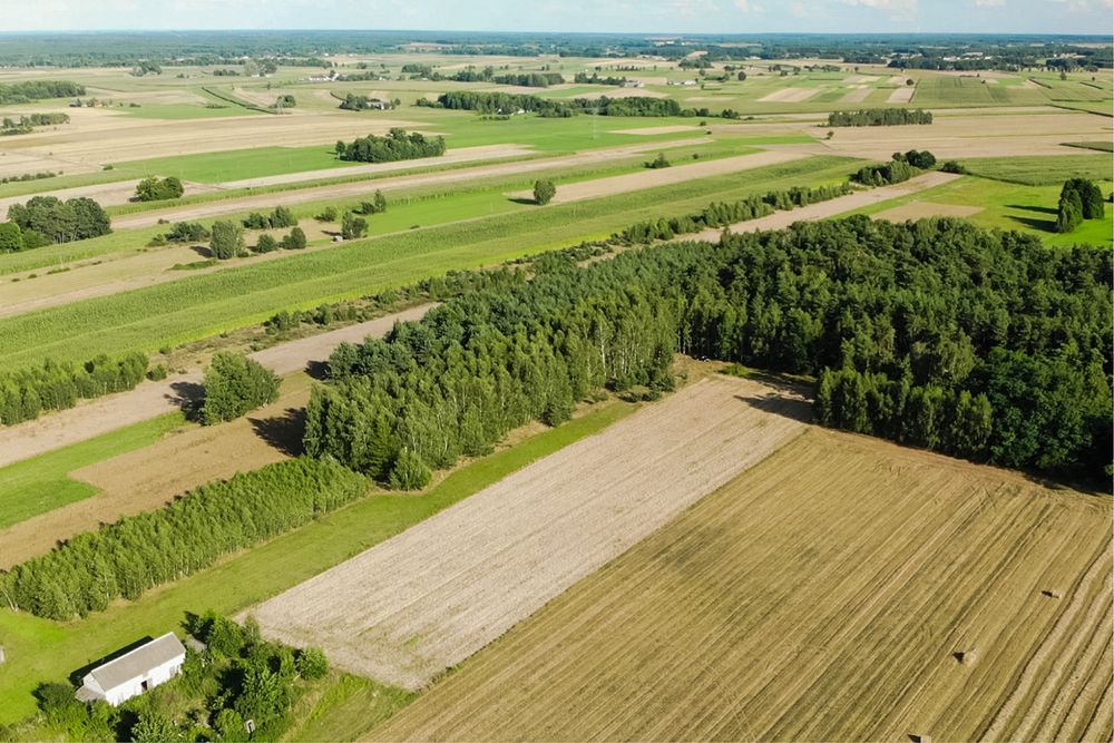 Dzialka 1700 m z WZ + Las 8100 m Dębe Kosów Lacki !