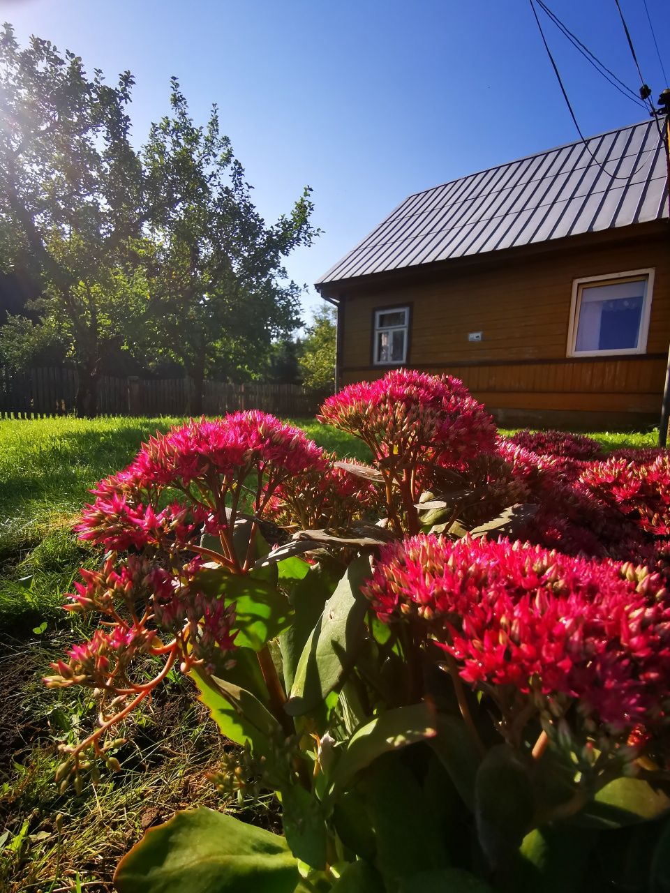 Pokoik na Podlasiu cena za cały pokój max 4 osoby