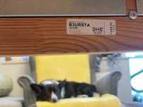 Stół Ikea Bjursta