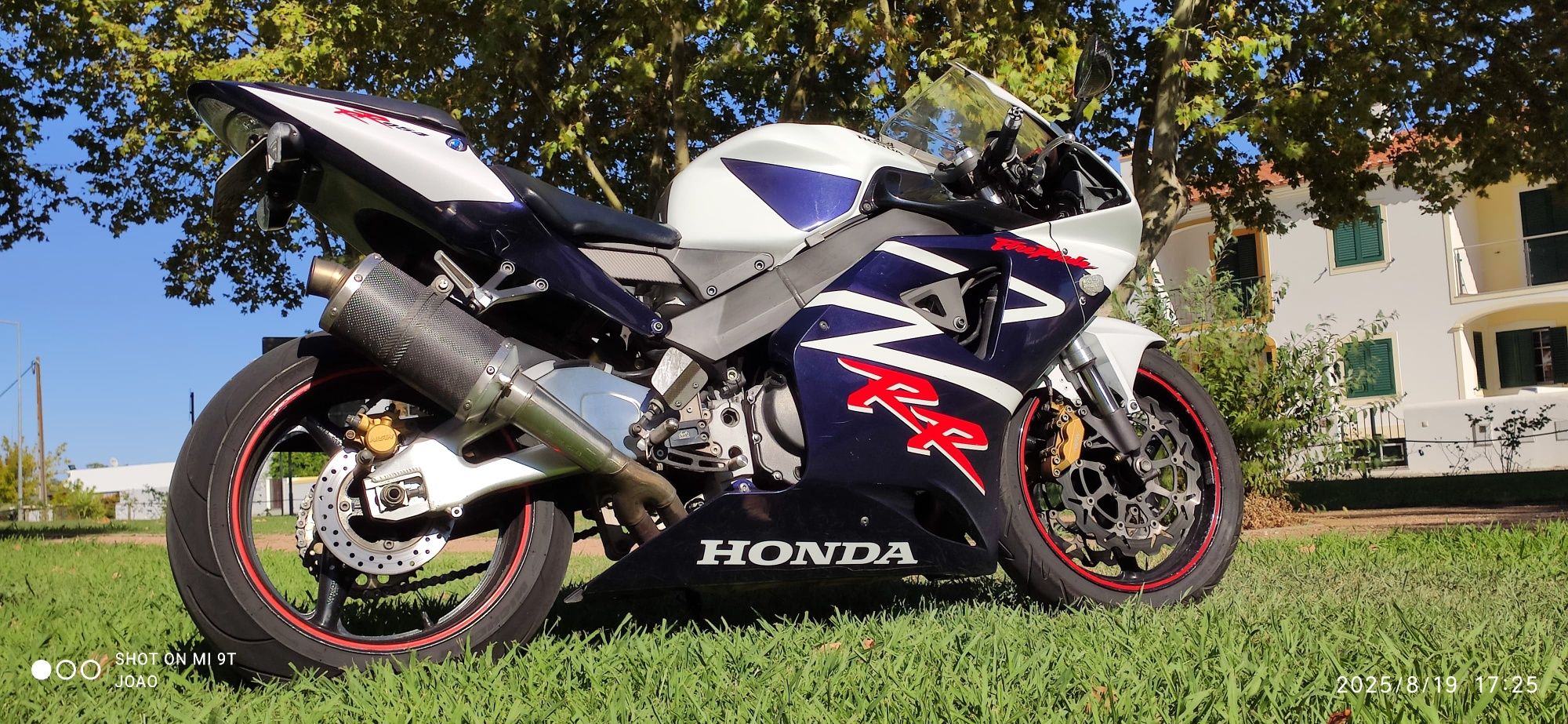 CBR 900 RR (954) Fireblade de 2003