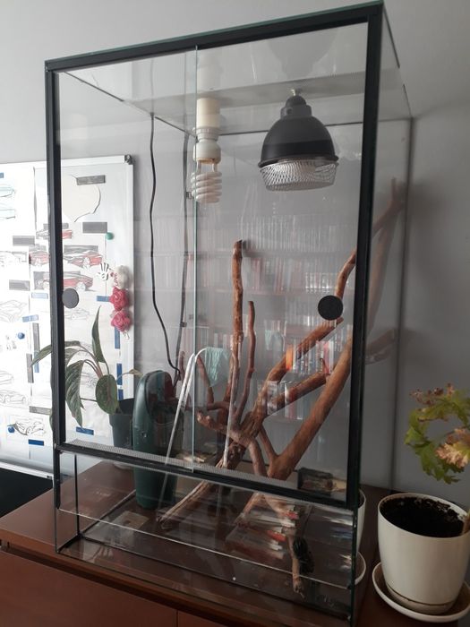 Terrarium z wyposażeniem i instalacją
