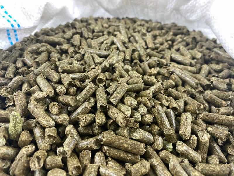 Siano Trawokulki 10 KG z Tymotką i Ziołami Kozy Owce Alpaki Pellet