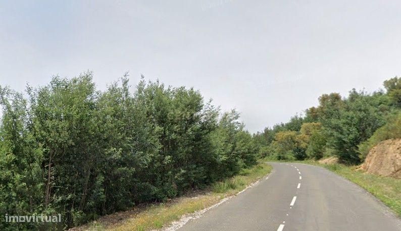 Terrenos Rústicos | Pescanseco Fundeiro | Pampilhosa da Serra