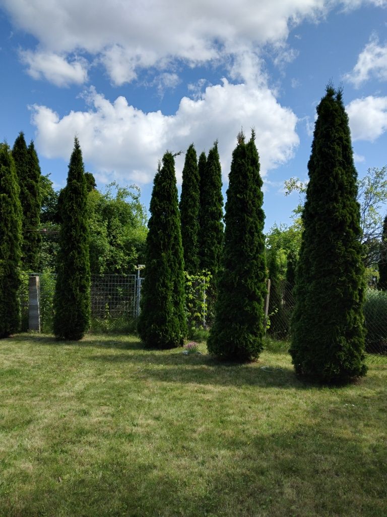 Działka ROD Bielawa