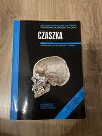 Czaszka Anatomia