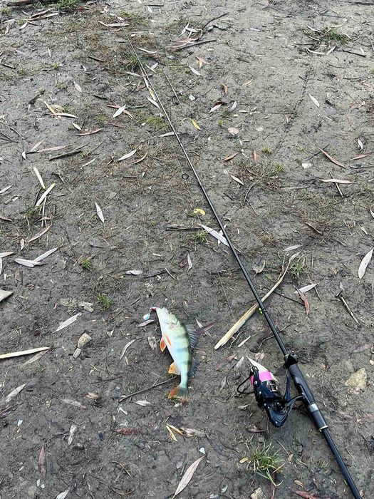 Продам Спінінг ...