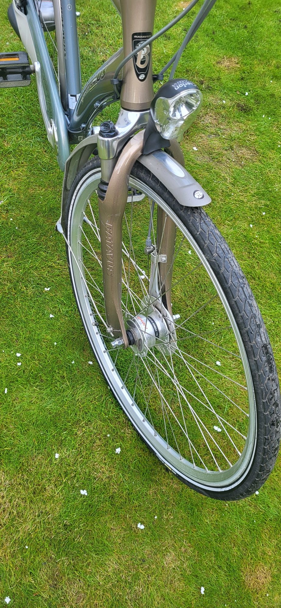 Rower Batavus Holenderka