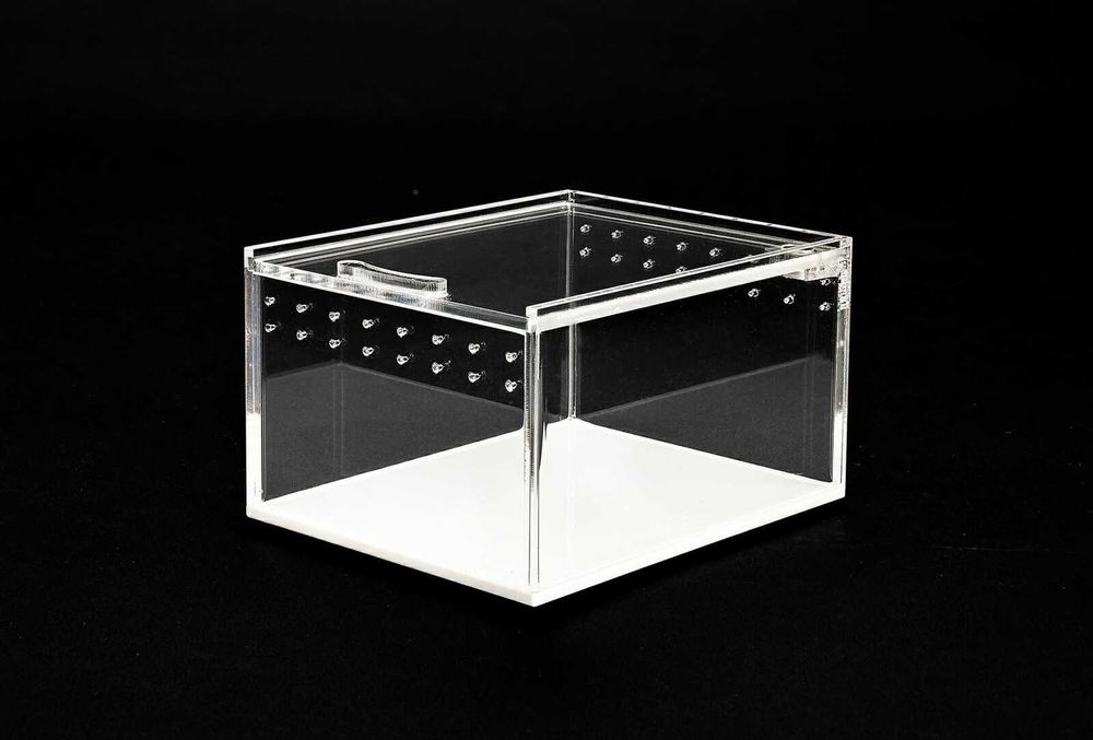 Mini TERRARIUM AKRYLOWE 10,5x8,5x6cm dla ptasznika skakuna skakuny