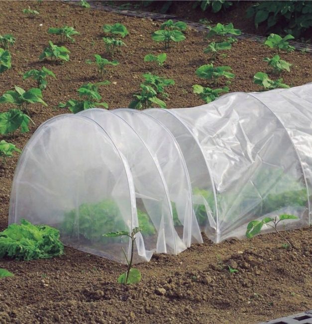 Nortene Easy Tunel foliowy szklarnia 0,60 x 0,45 x 3 m