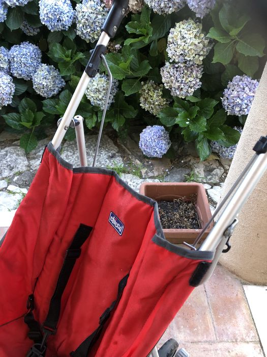 Carrinho/bengala da Chicco