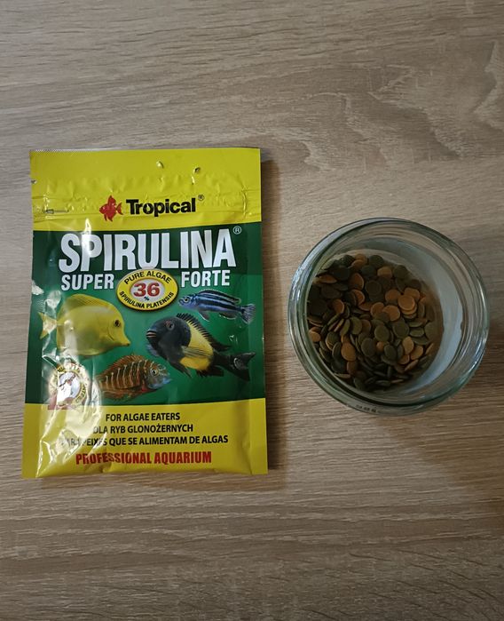 Spirulina Super Forte i pokarm wafers mix