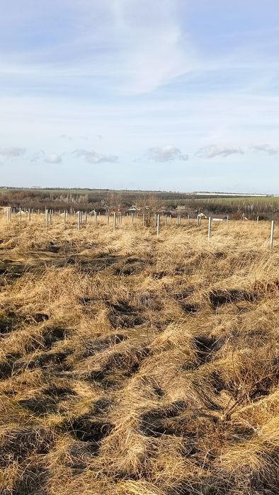 Участок Братское ул. Авиационная 15000$