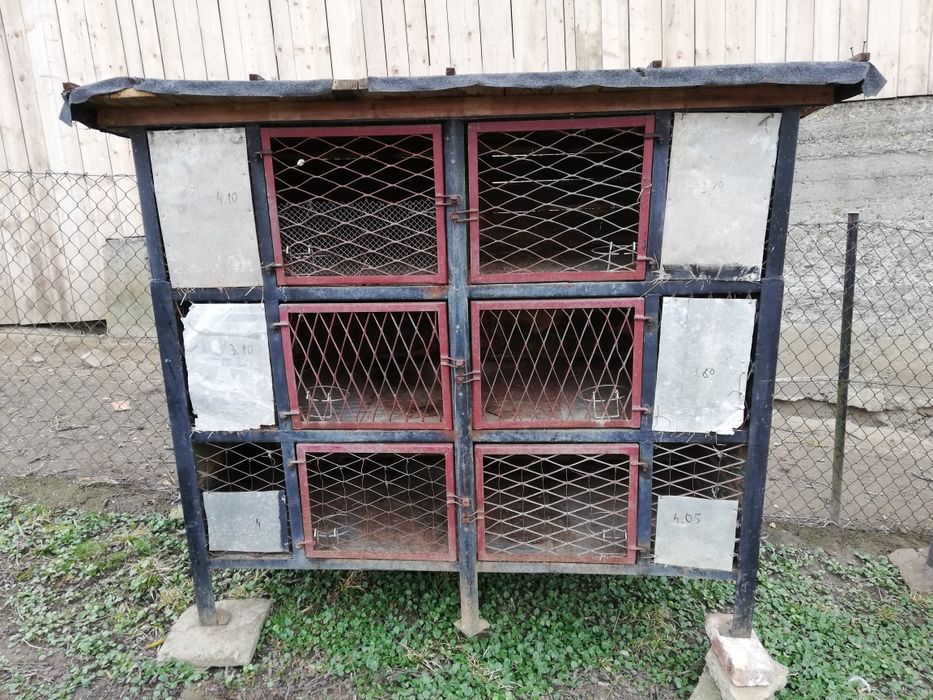 Klatki dla królików