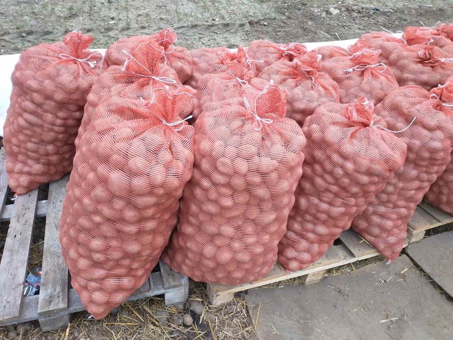 Ziemniaki ekologiczne od rolnika