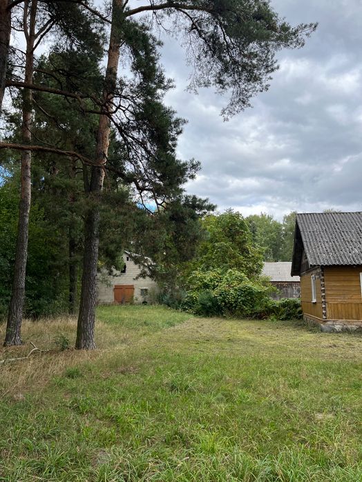 Siedlisko na Podlasiu