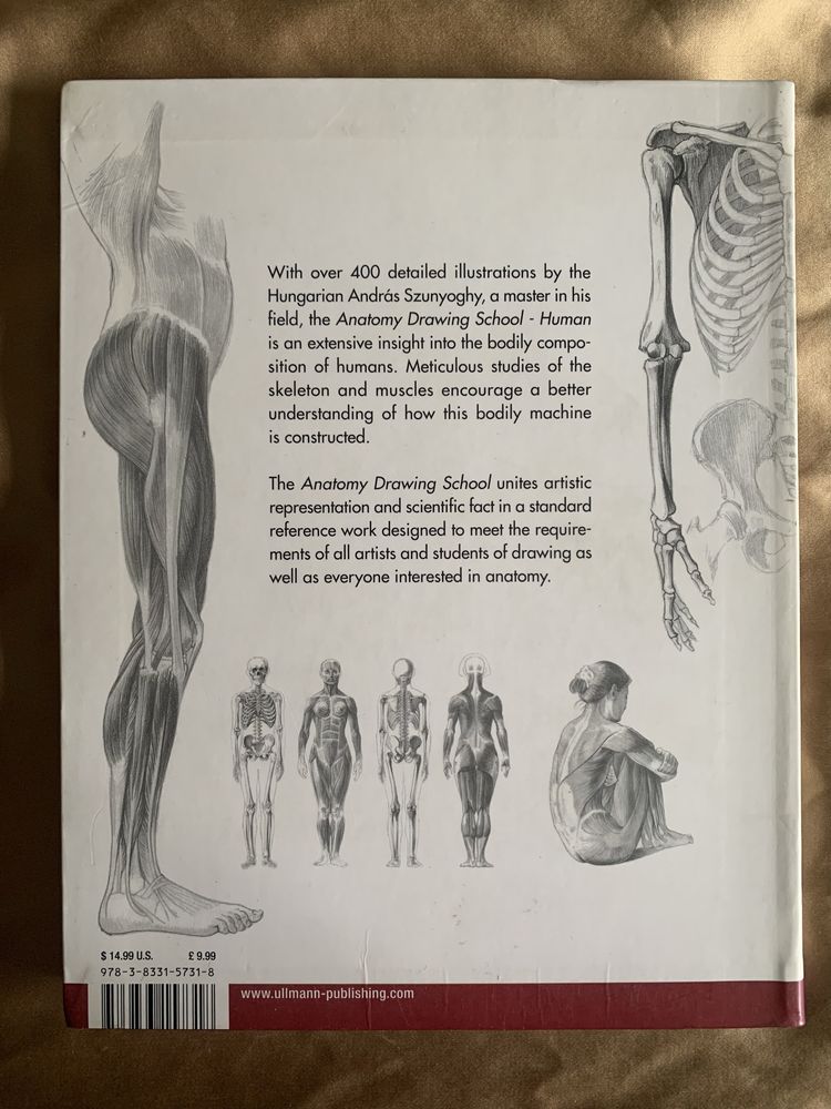 Anatomy drawing school - human - Szunyoghy, Feher