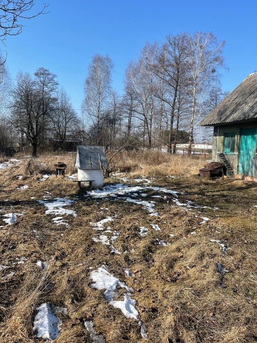 Продам будинок в селі чижівка Житомирської області 10км Звягель