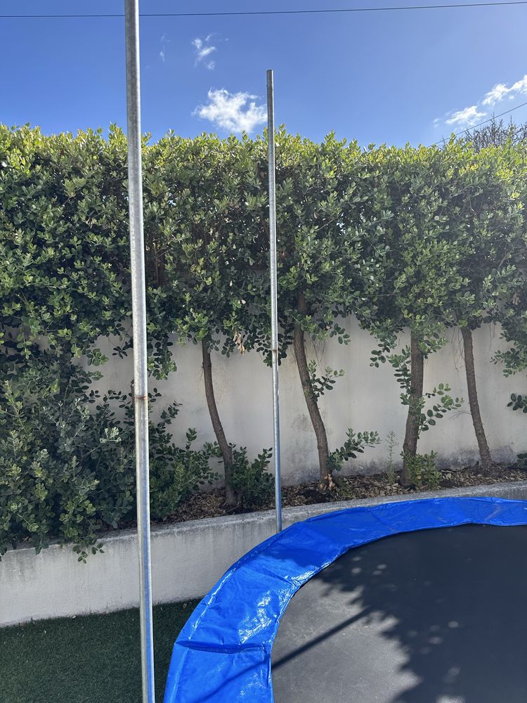 Trampolim jardim