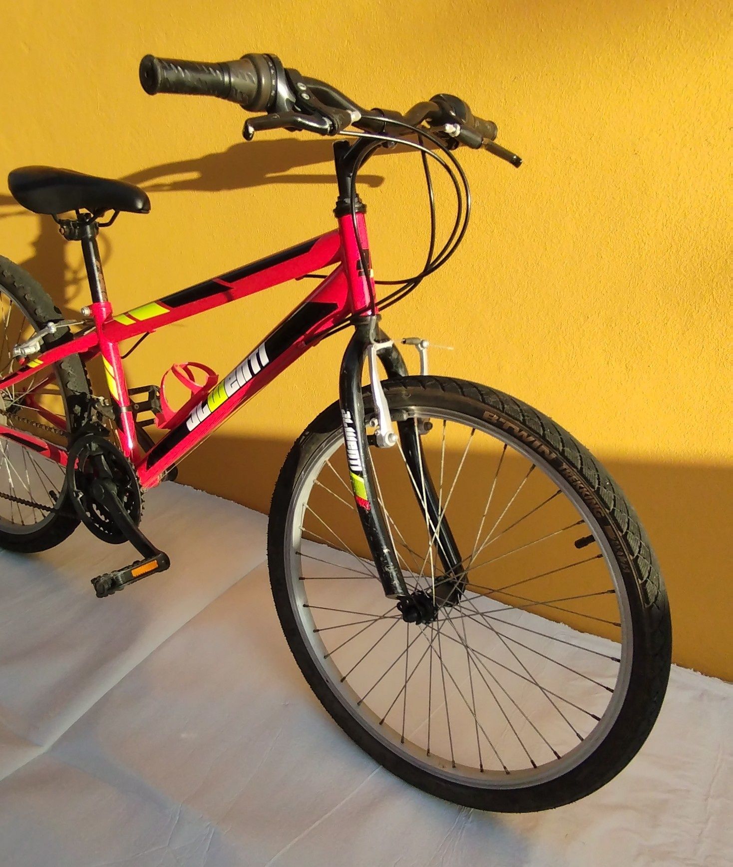 Bicicleta roda 24