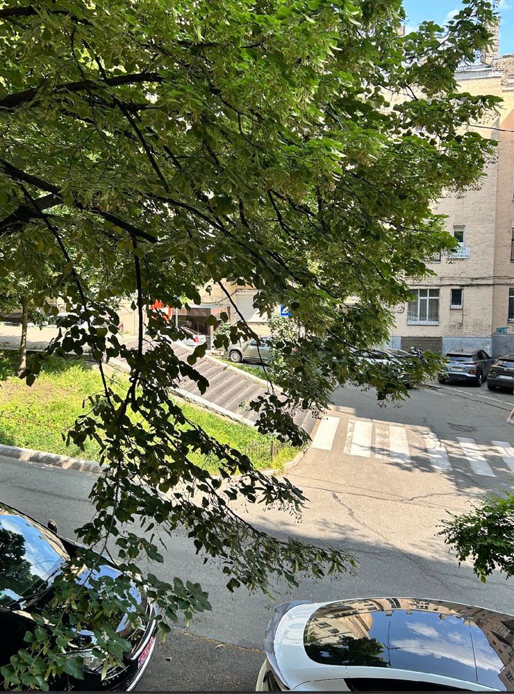 Хрещатик Костьольна 11 2к кв Майдан Незалежності Михайлівська Без%