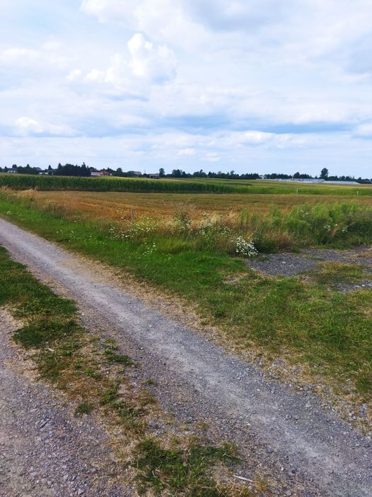 Działka budowlana Płoskie