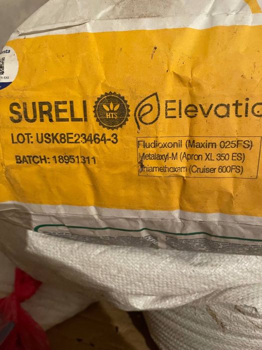 Соняшник Sureli Сурелі Syngenta