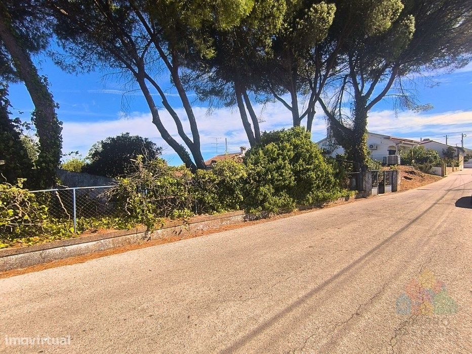 Quinta com 16 mil m2 em Tomar