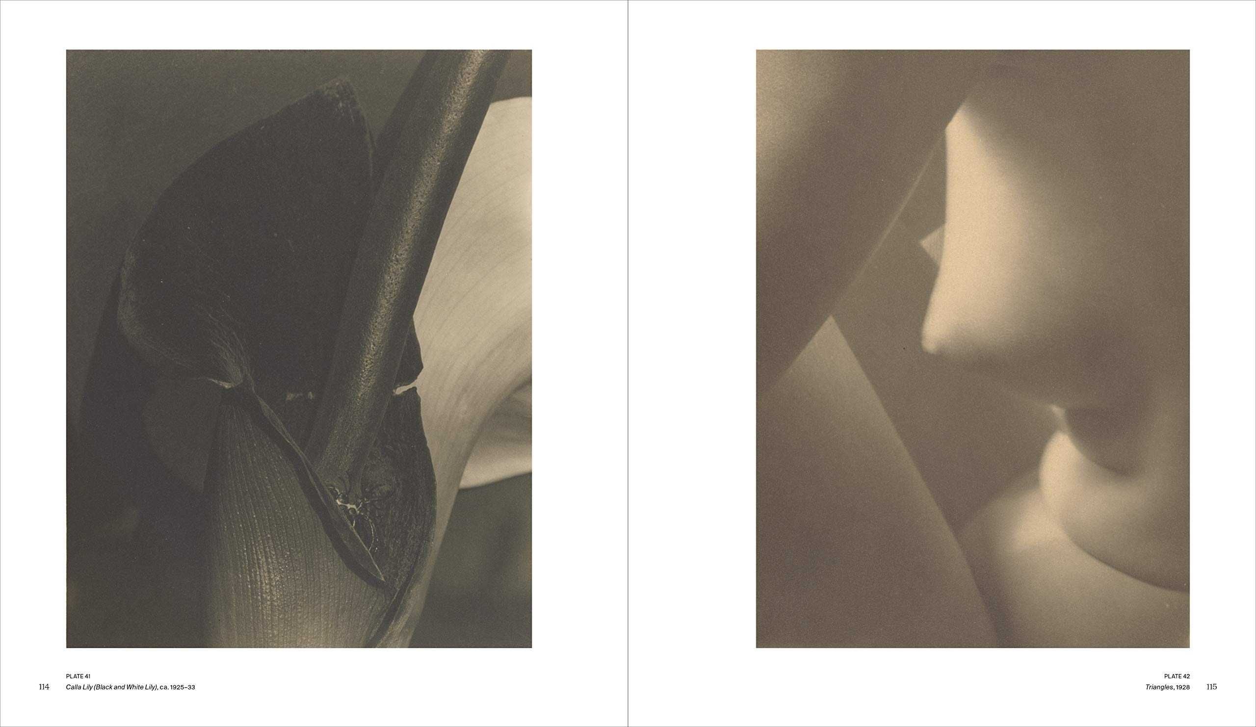 Книга - фотоальбом A Retrospective. Imogen Cunningham.