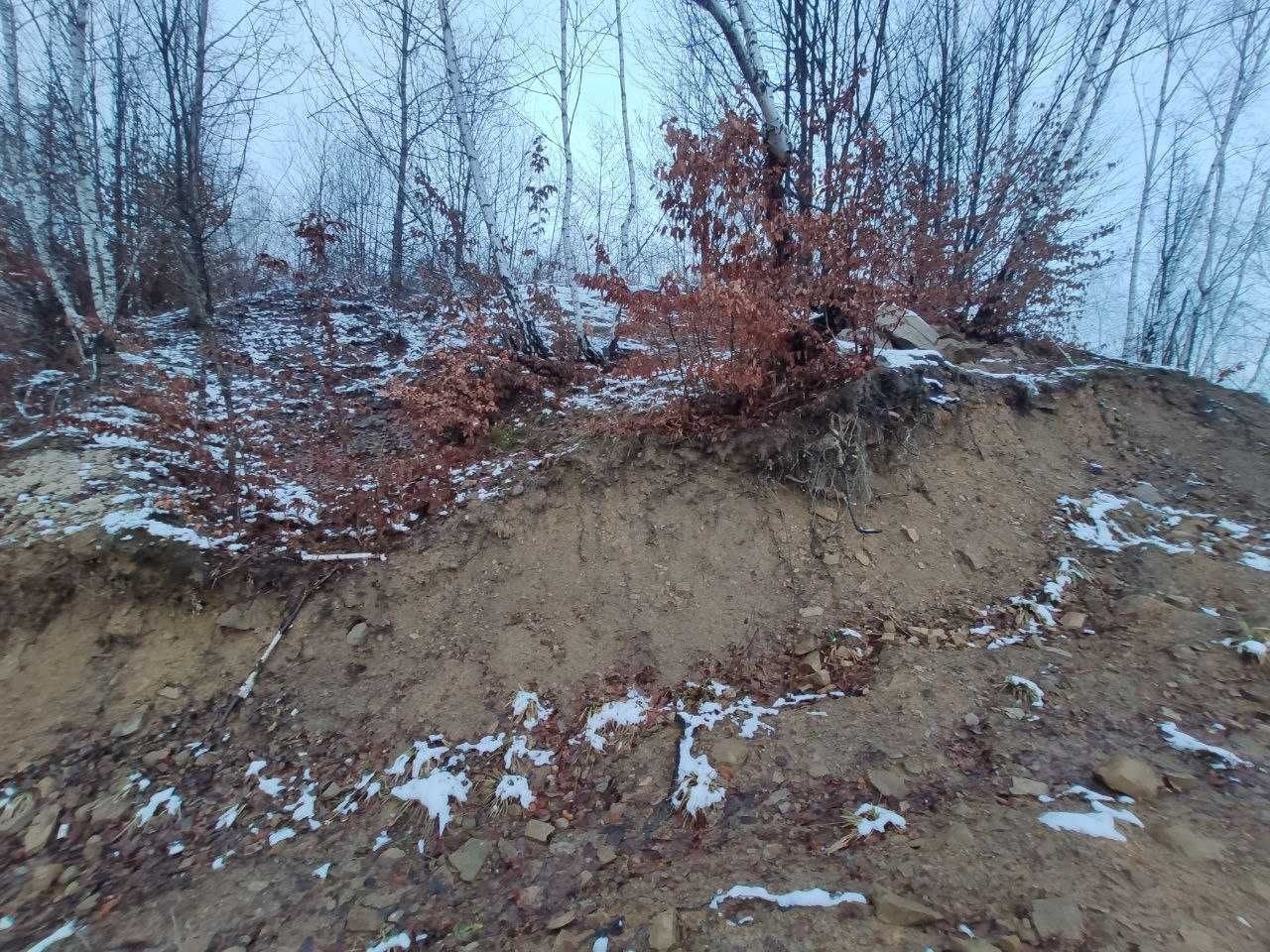 Земельна ділянка в Закарпатській області в селі Вишка