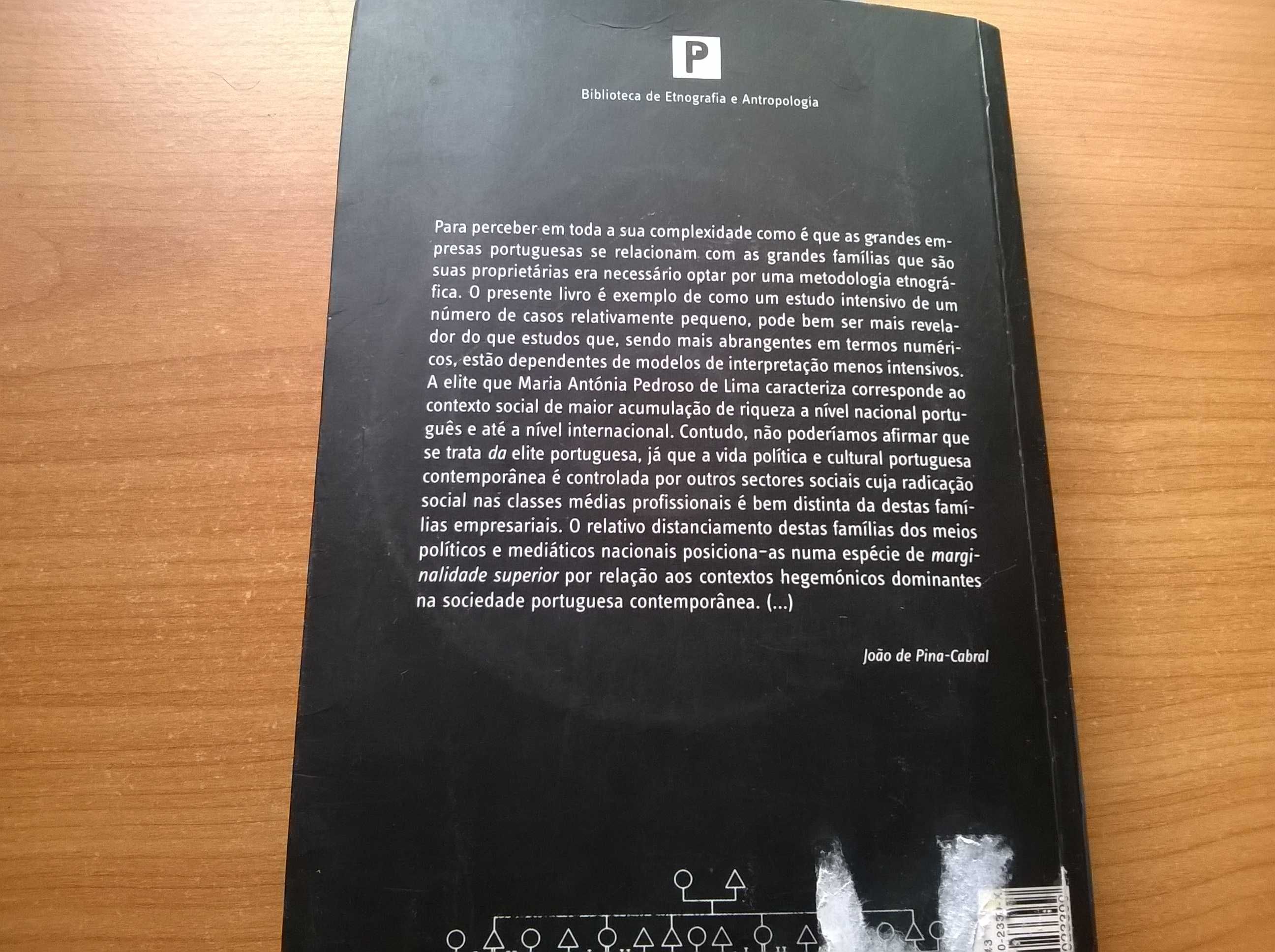 Grandes Famílias Grandes Empresas - Maria Antónia Pedrosa de Lima