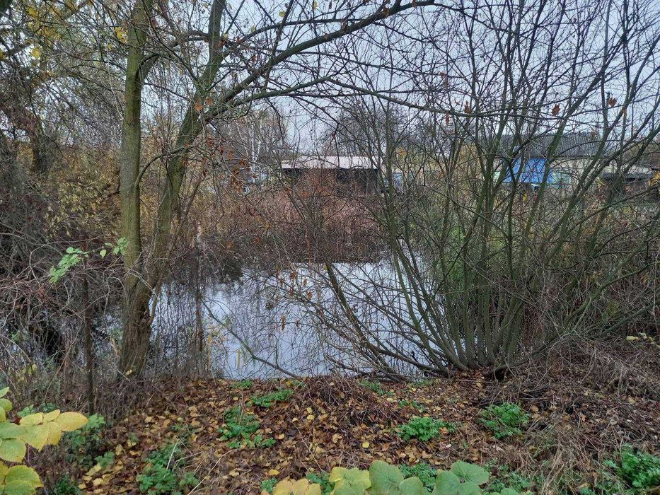 Продам 1/2 частину будинку зі ставком в Лісовій Бучі