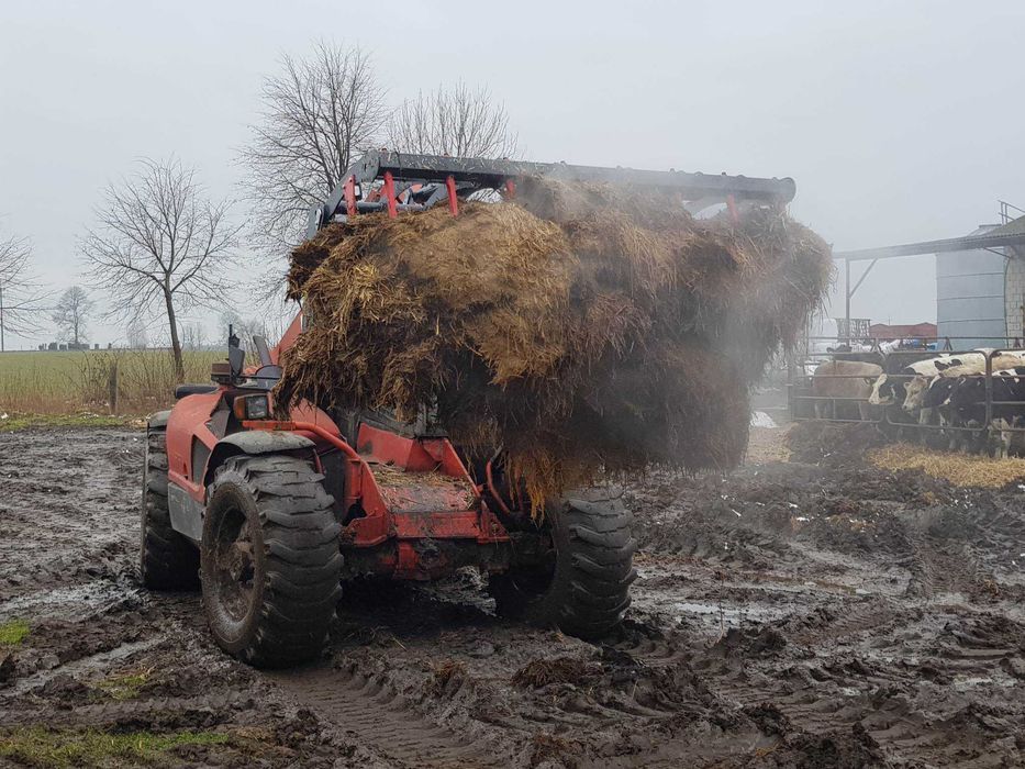 Krokodyl Zęby Kute 1,8m Wszystkie Mocowania! Producent