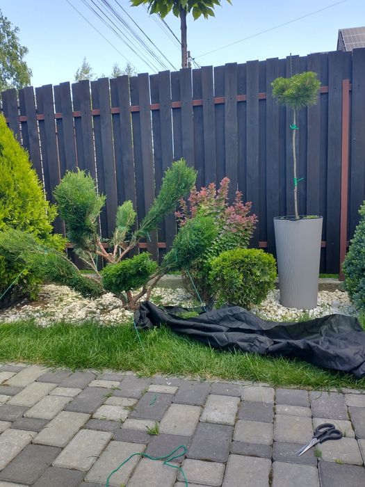 Послуги садівника