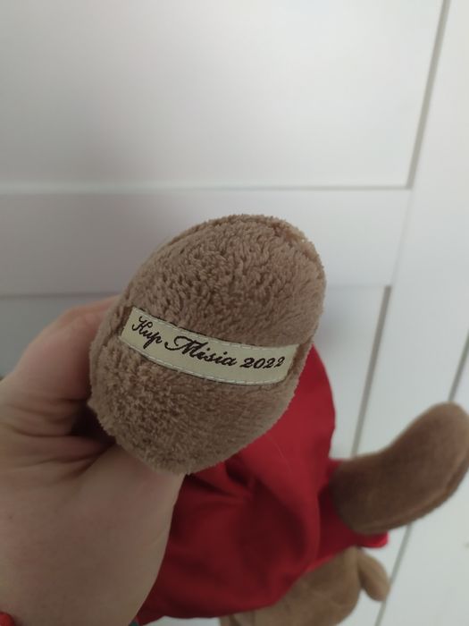 Kup Misia 2022 Aga podaruj miś maskotka Tvn