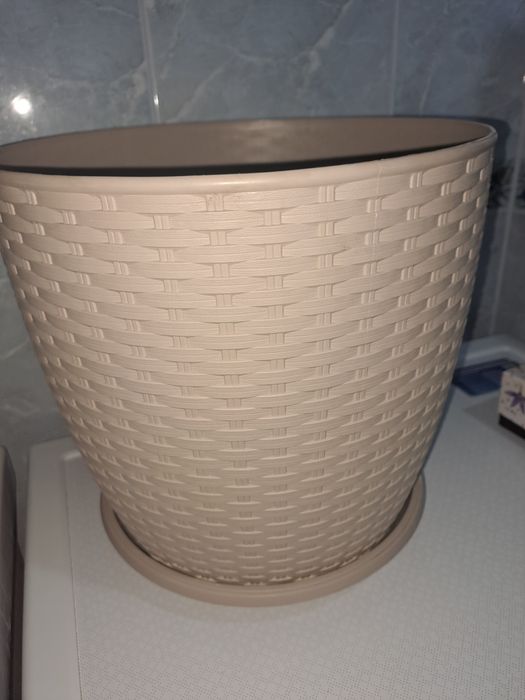 Риночка  велика.