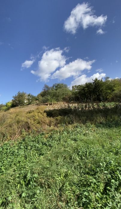 Ділянка 28соток видова с.Красна Слобідка м. Обухів 10км, м. Київ 45 к