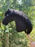Nowy hobby horse