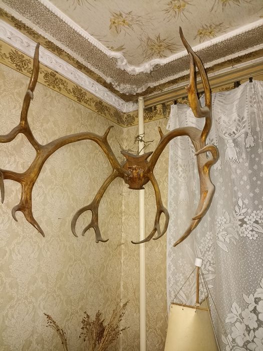 Оленьи рога (большие)