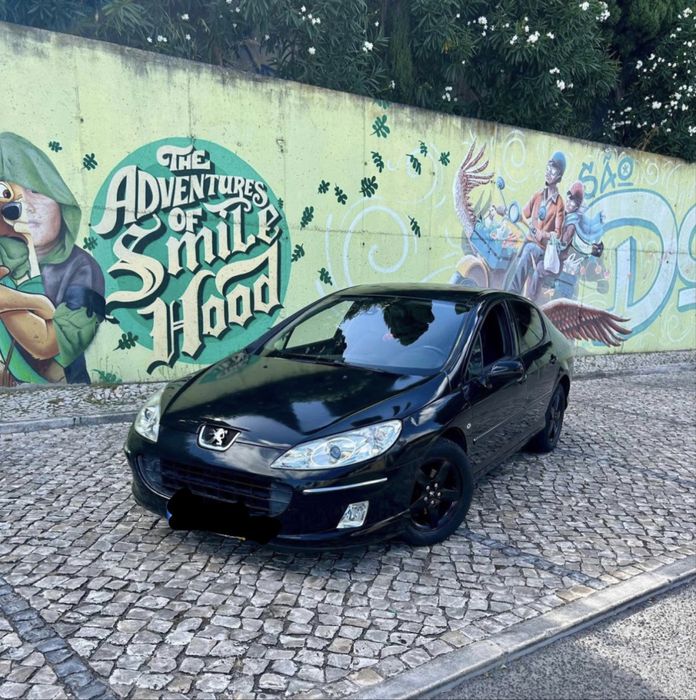 Peugeot 407 Bom stado