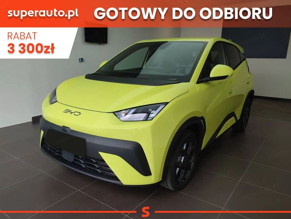 BYD Dolphin Surf Comfort (156 KM)